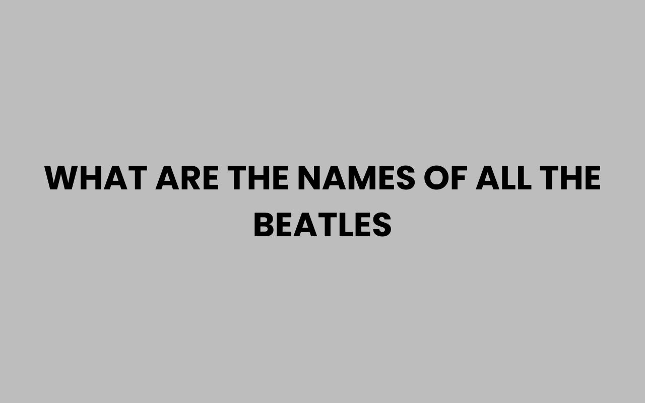 what are the names of all the beatles