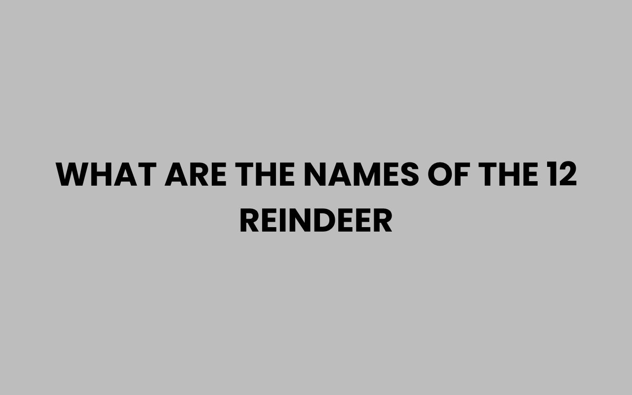 what are the names of the 12 reindeer