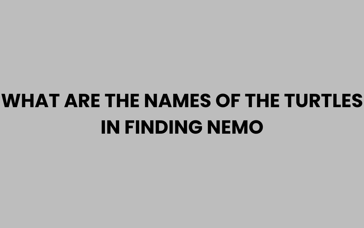 what are the names of the turtles in finding nemo