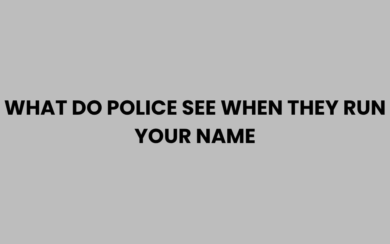 what do police see when they run your name