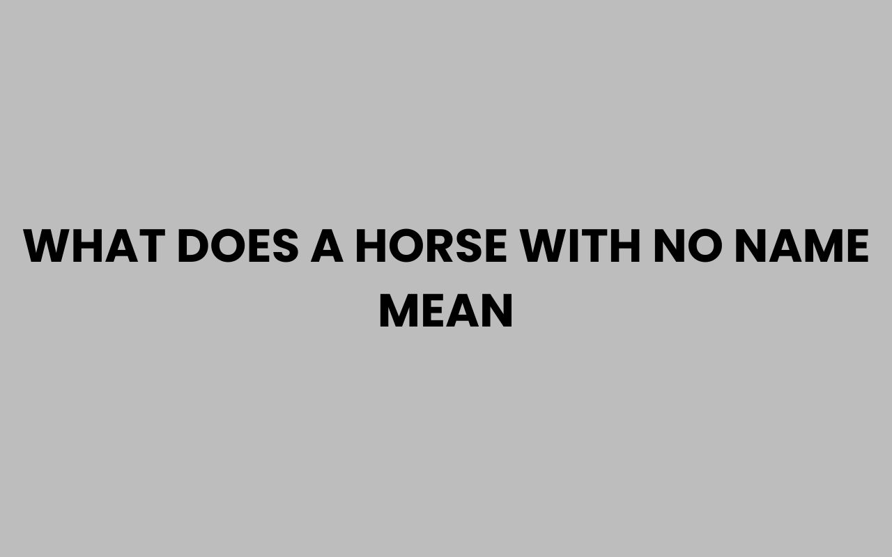 what does a horse with no name mean
