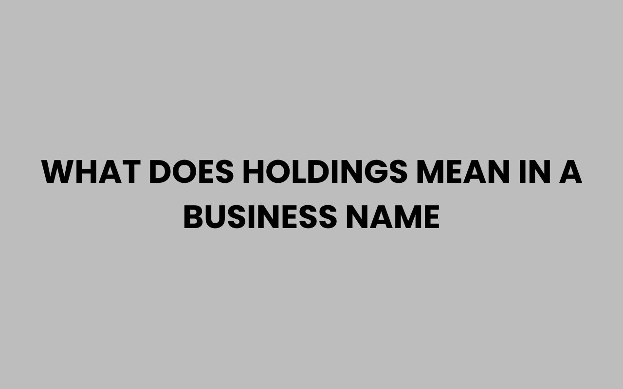 what does holdings mean in a business name
