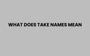 Name Def What Does Take Names Mean? Definition and Common Uses