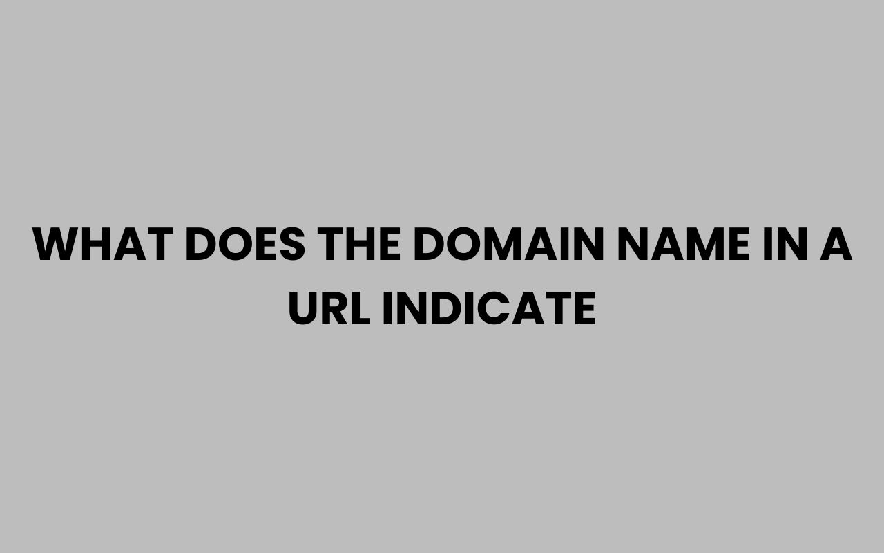 what does the domain name in a url indicate