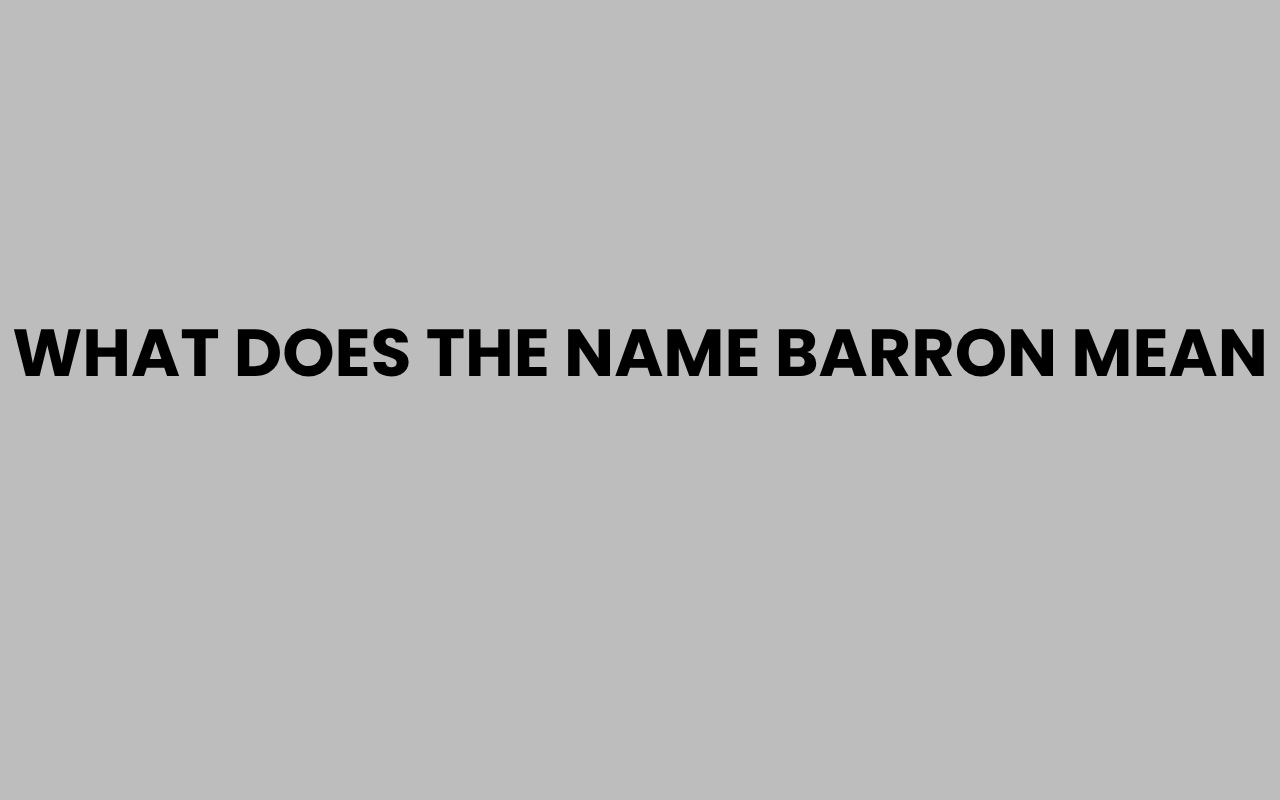 what does the name barron mean