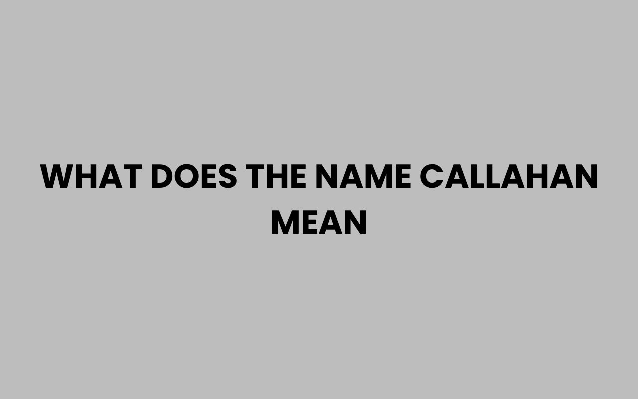 what does the name callahan mean