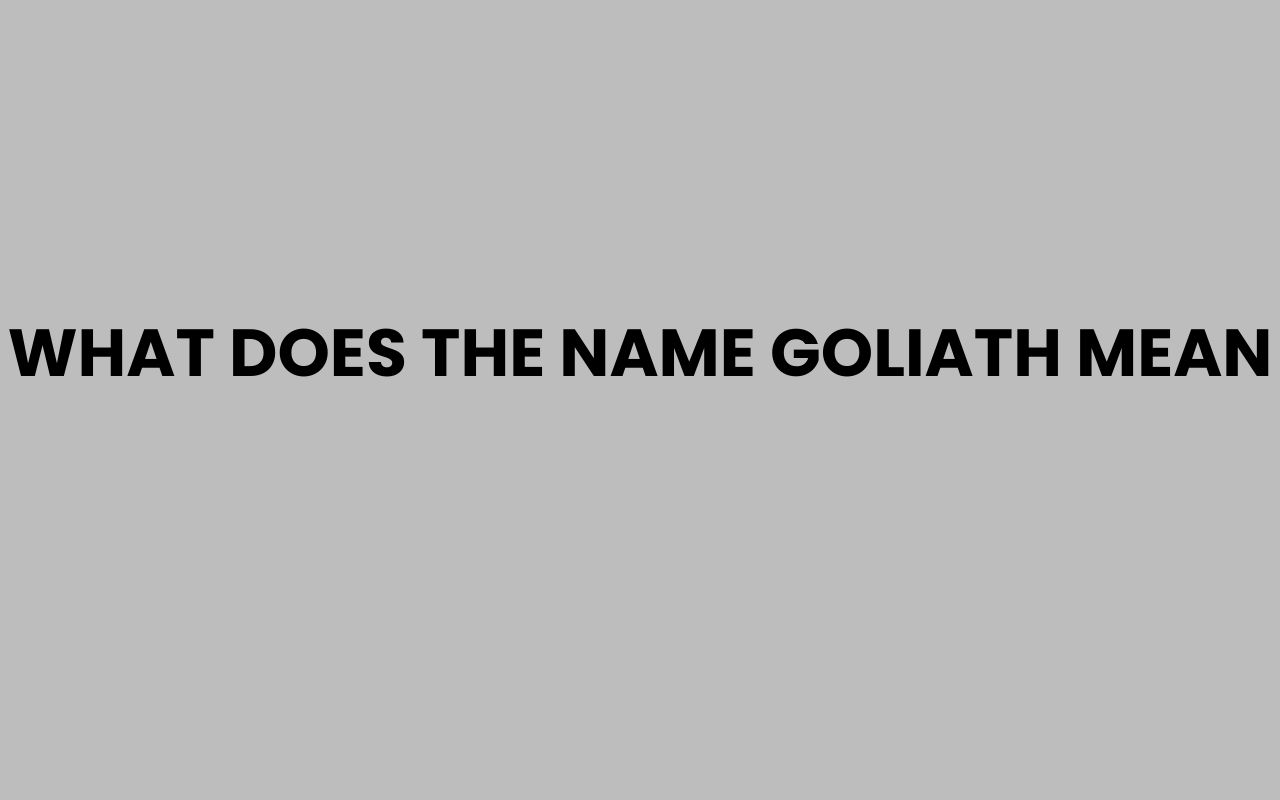 what does the name goliath mean