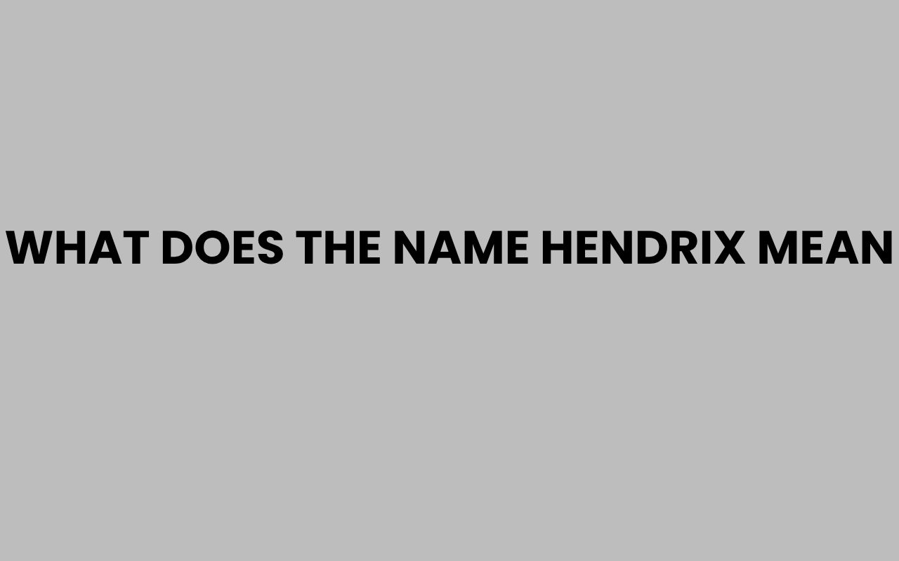 what does the name hendrix mean