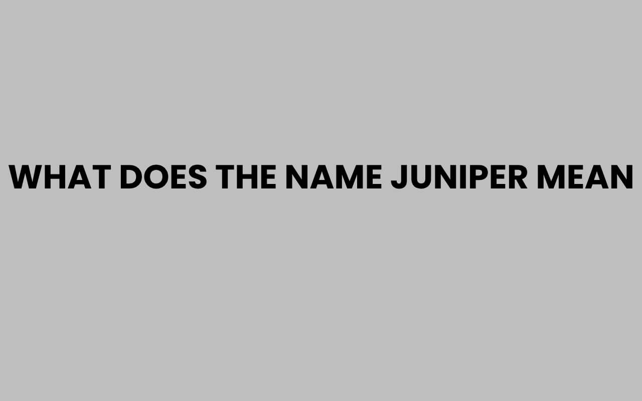 what does the name juniper mean