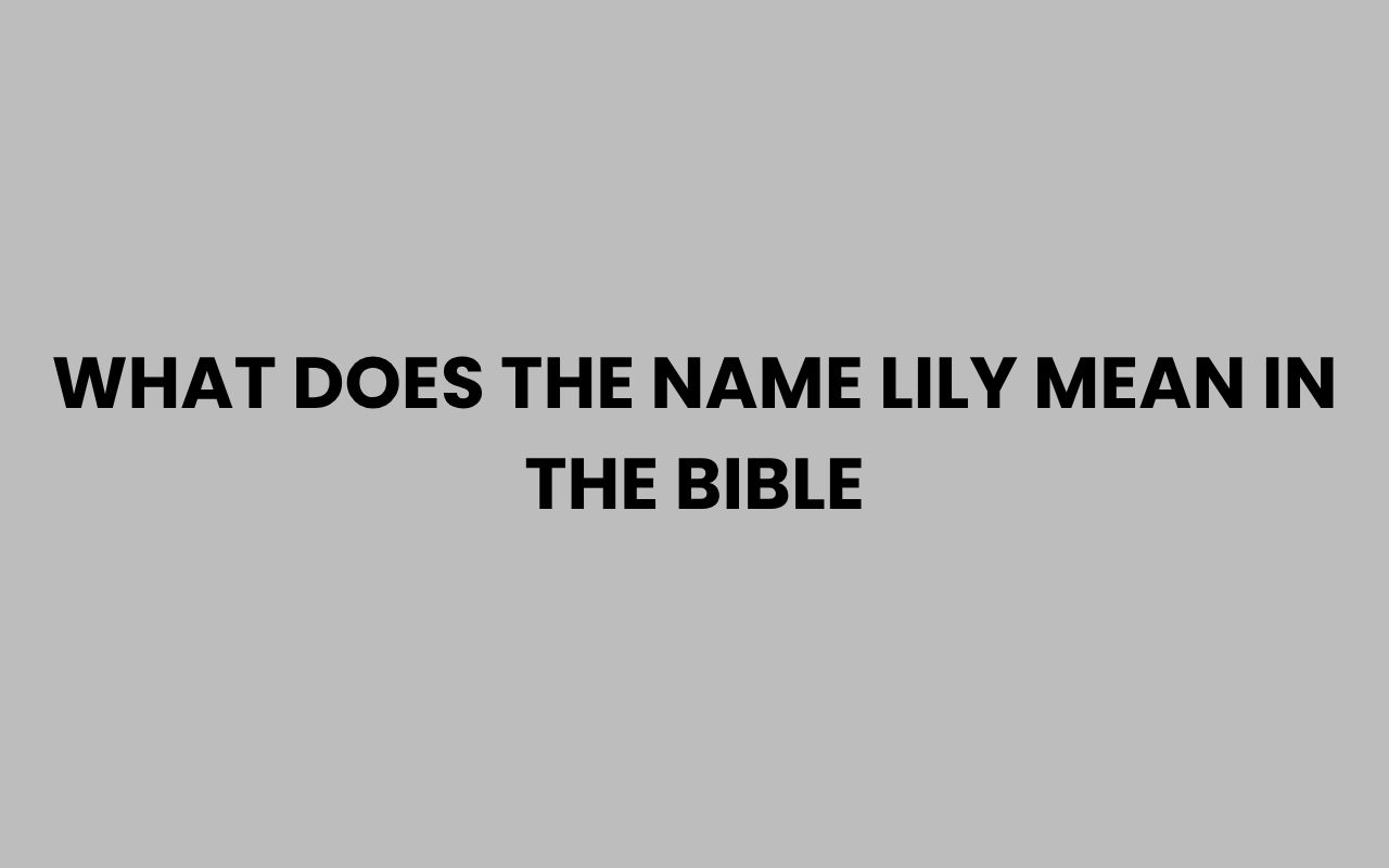 what does the name lily mean in the bible