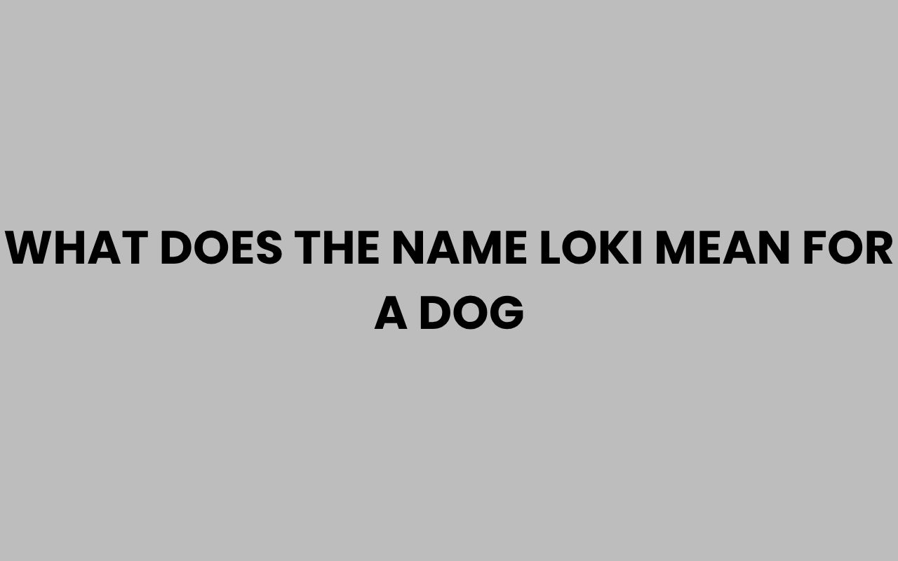 what does the name loki mean for a dog