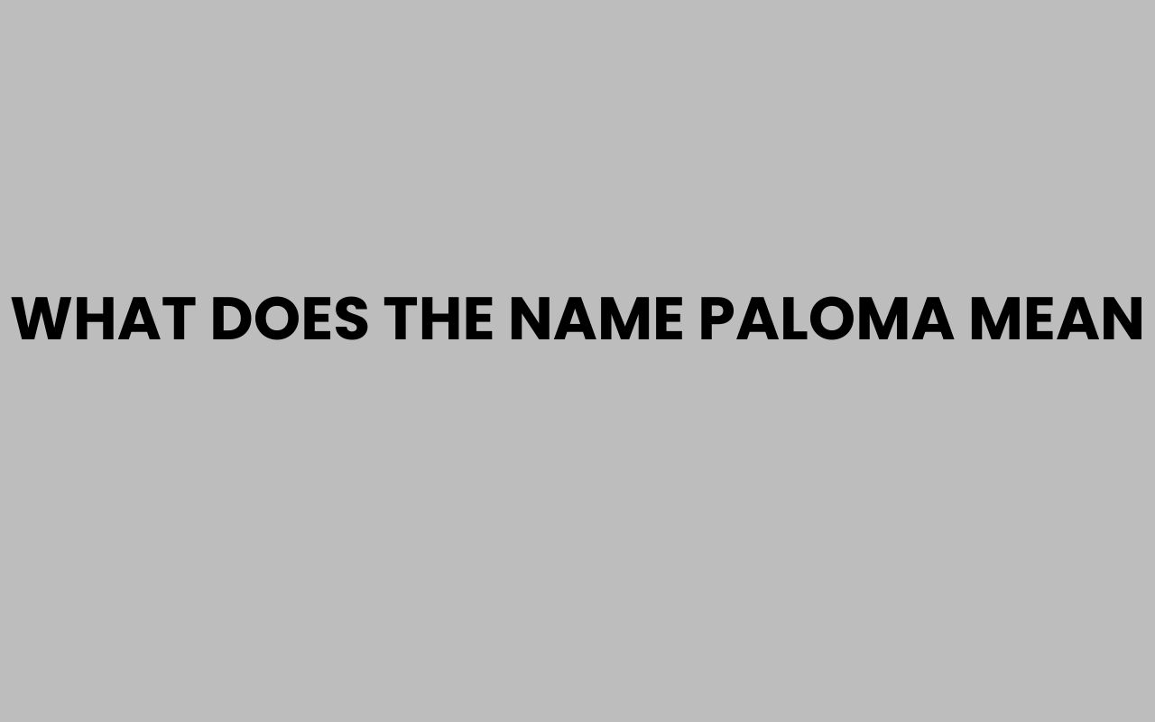 what does the name paloma mean