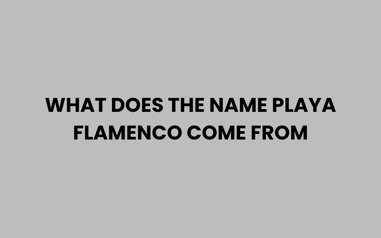what does the name playa flamenco come from