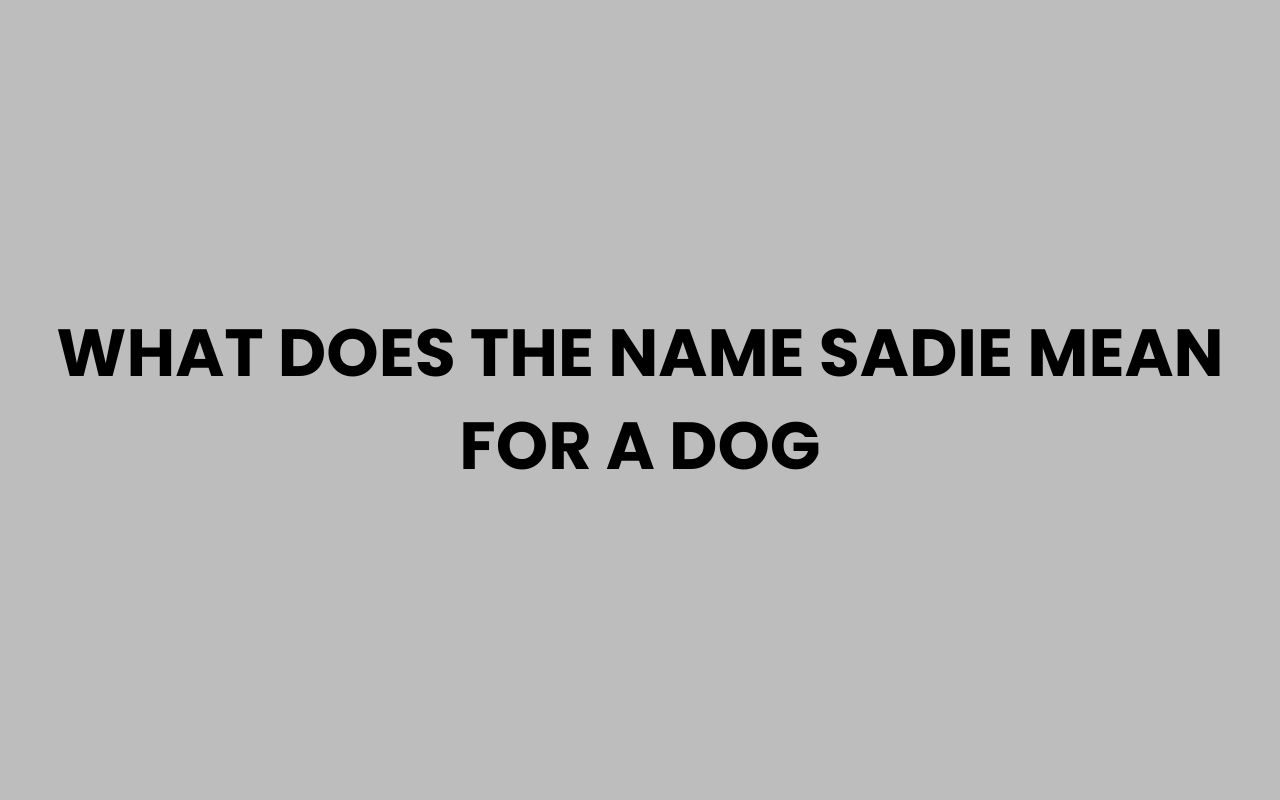 what does the name sadie mean for a dog