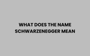 Unpacking the Iconic Name: What Does Schwarzenegger Mean?