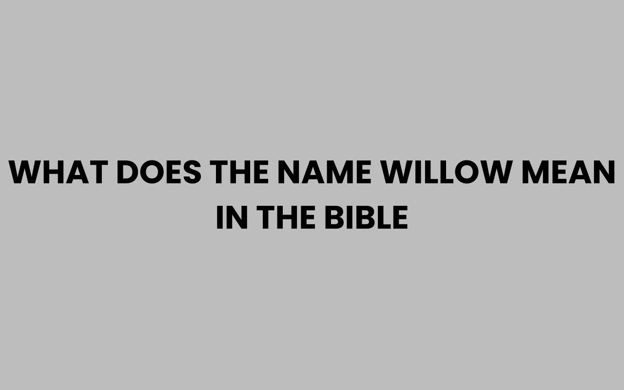 what does the name willow mean in the bible