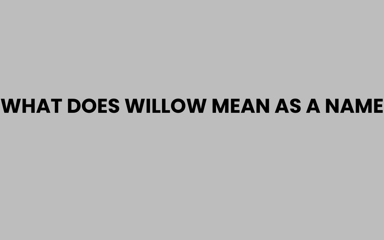 what does willow mean as a name