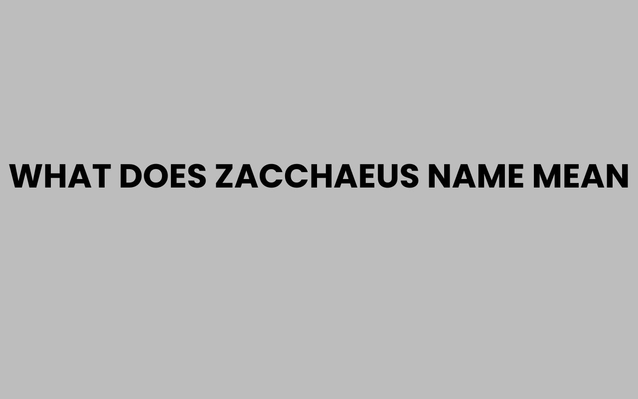what does zacchaeus name mean