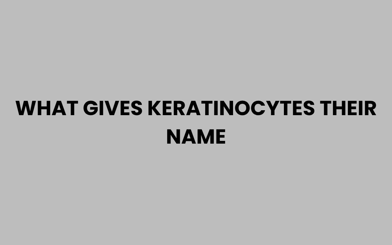 what gives keratinocytes their name