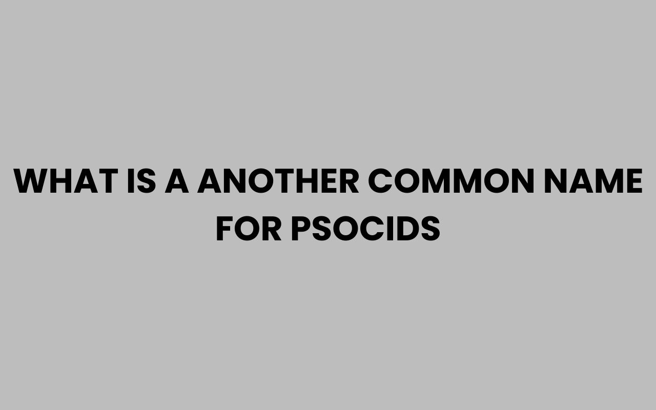 what is a another common name for psocids