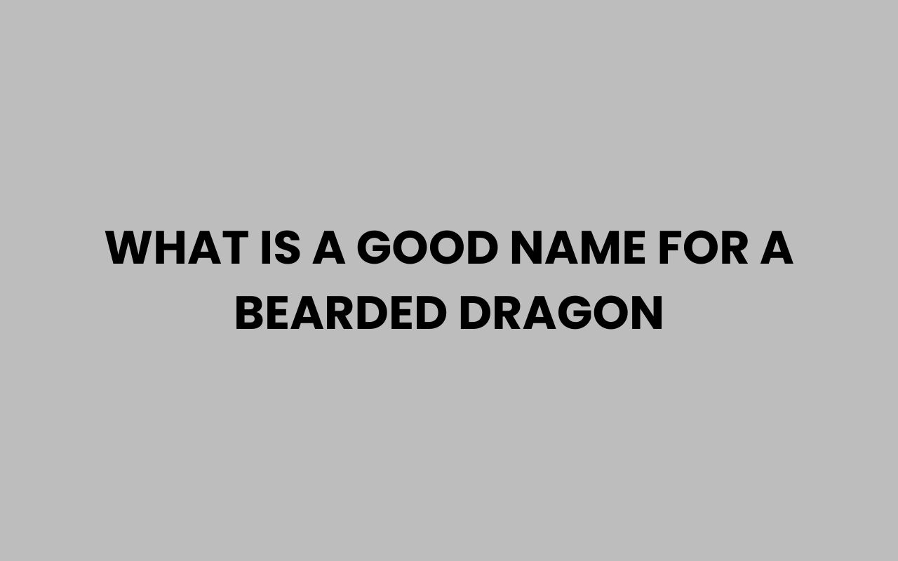 what is a good name for a bearded dragon
