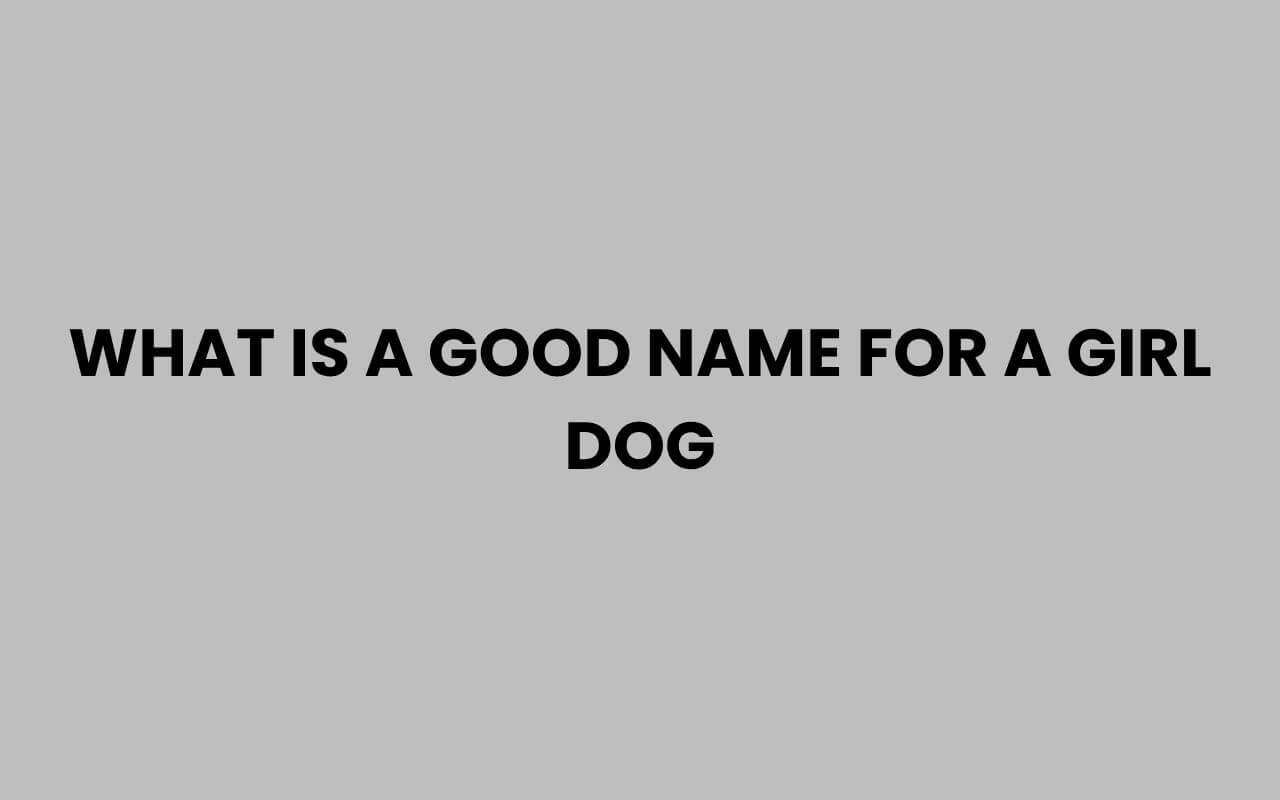 what is a good name for a girl dog