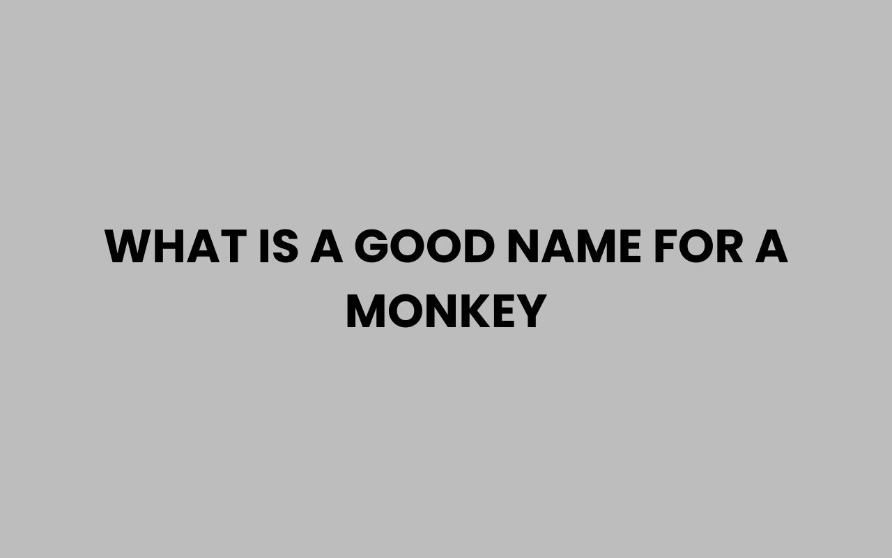 what is a good name for a monkey