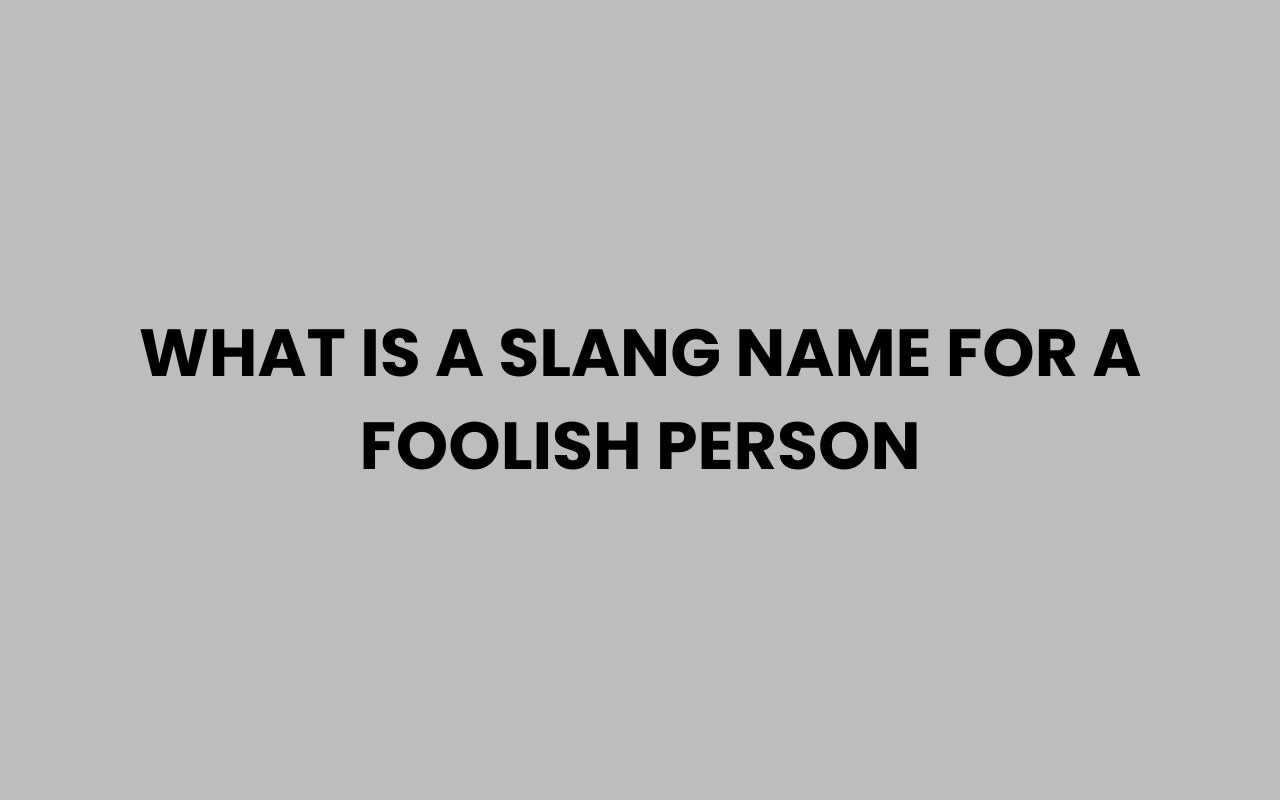what is a slang name for a foolish person