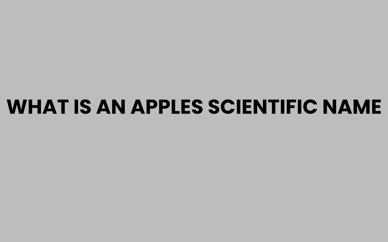 what is an apples scientific name
