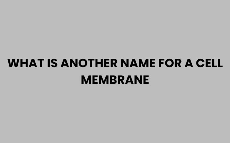 What Is Another Name for a Cell Membrane Explained