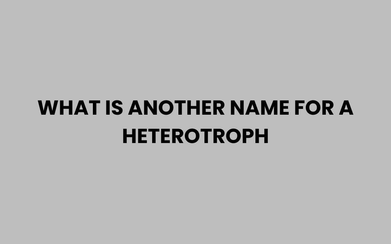 what is another name for a heterotroph