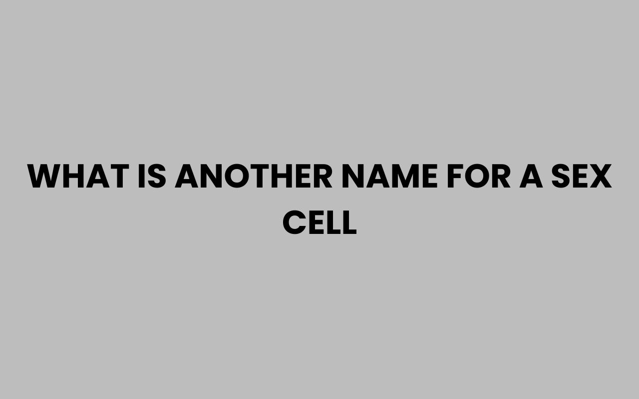 what is another name for a sex cell