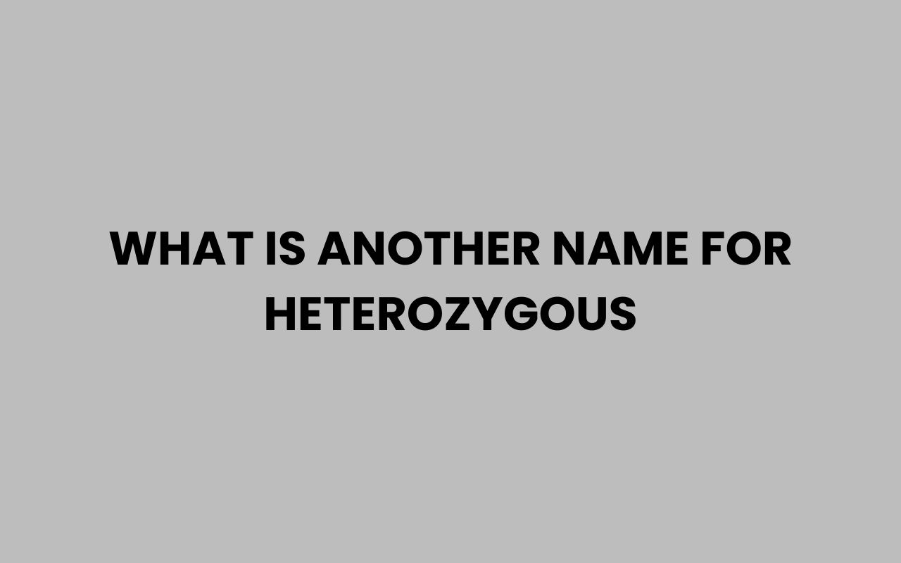 what is another name for heterozygous