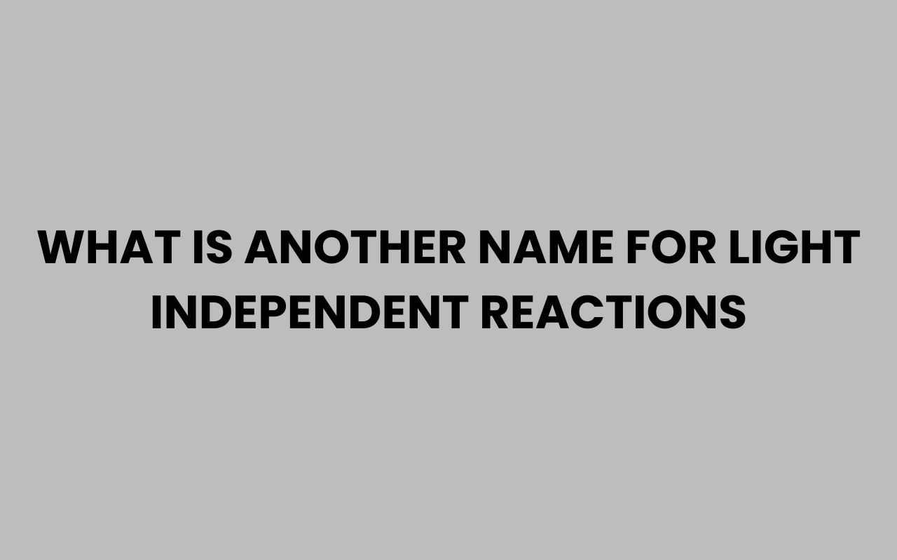 what is another name for light independent reactions