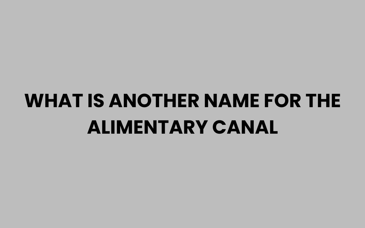 what is another name for the alimentary canal