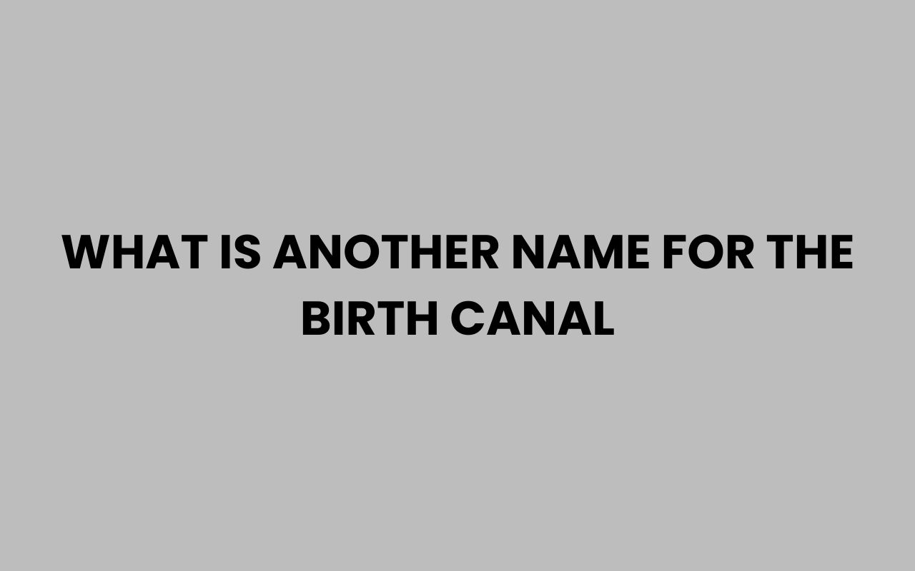 what is another name for the birth canal