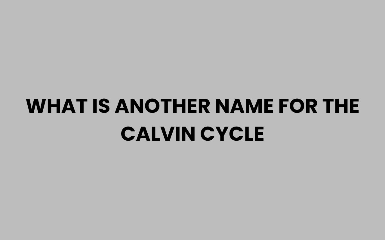 what is another name for the calvin cycle
