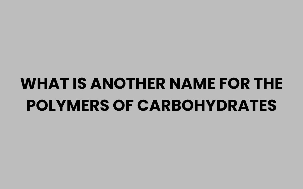 what is another name for the polymers of carbohydrates