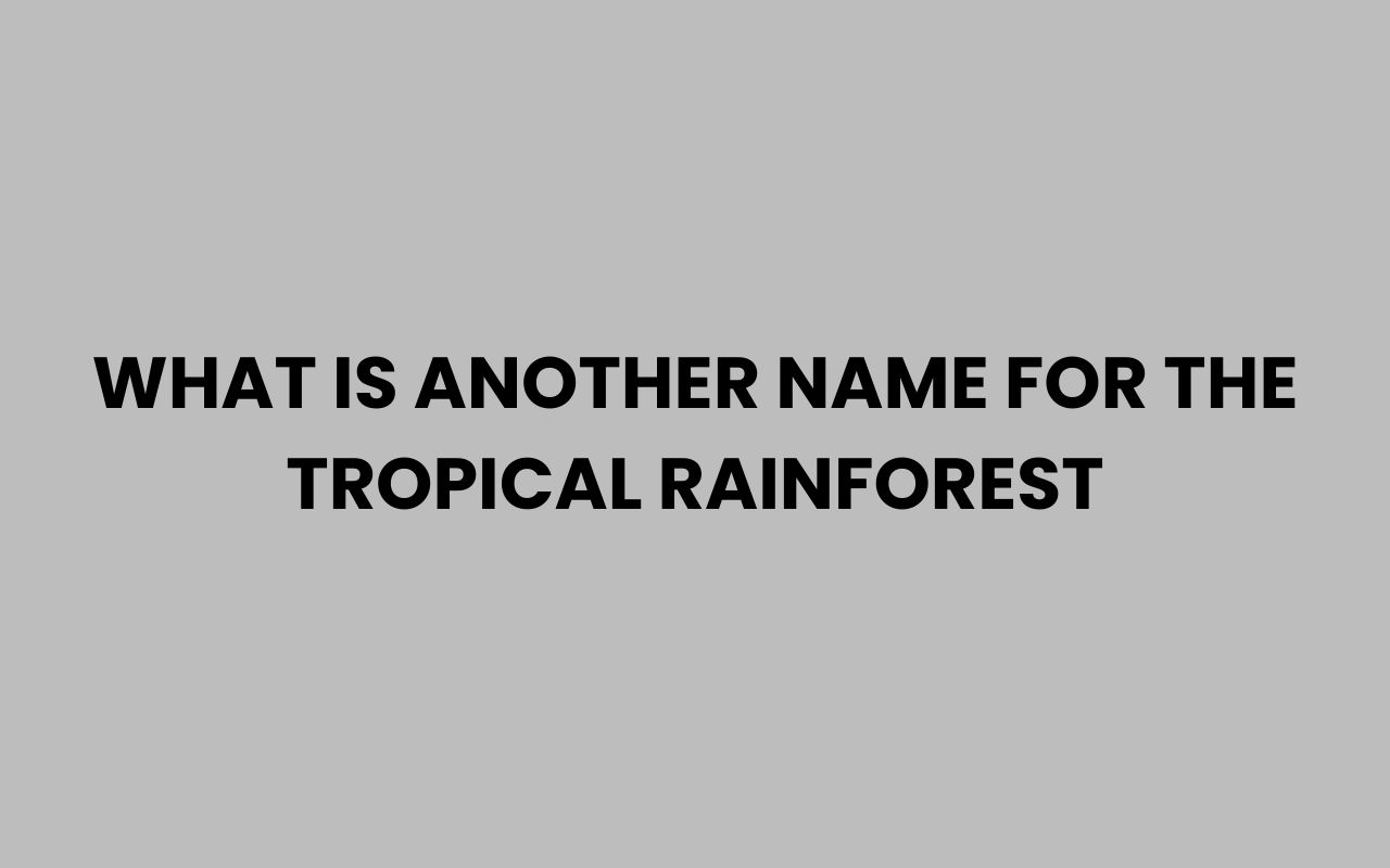 what is another name for the tropical rainforest