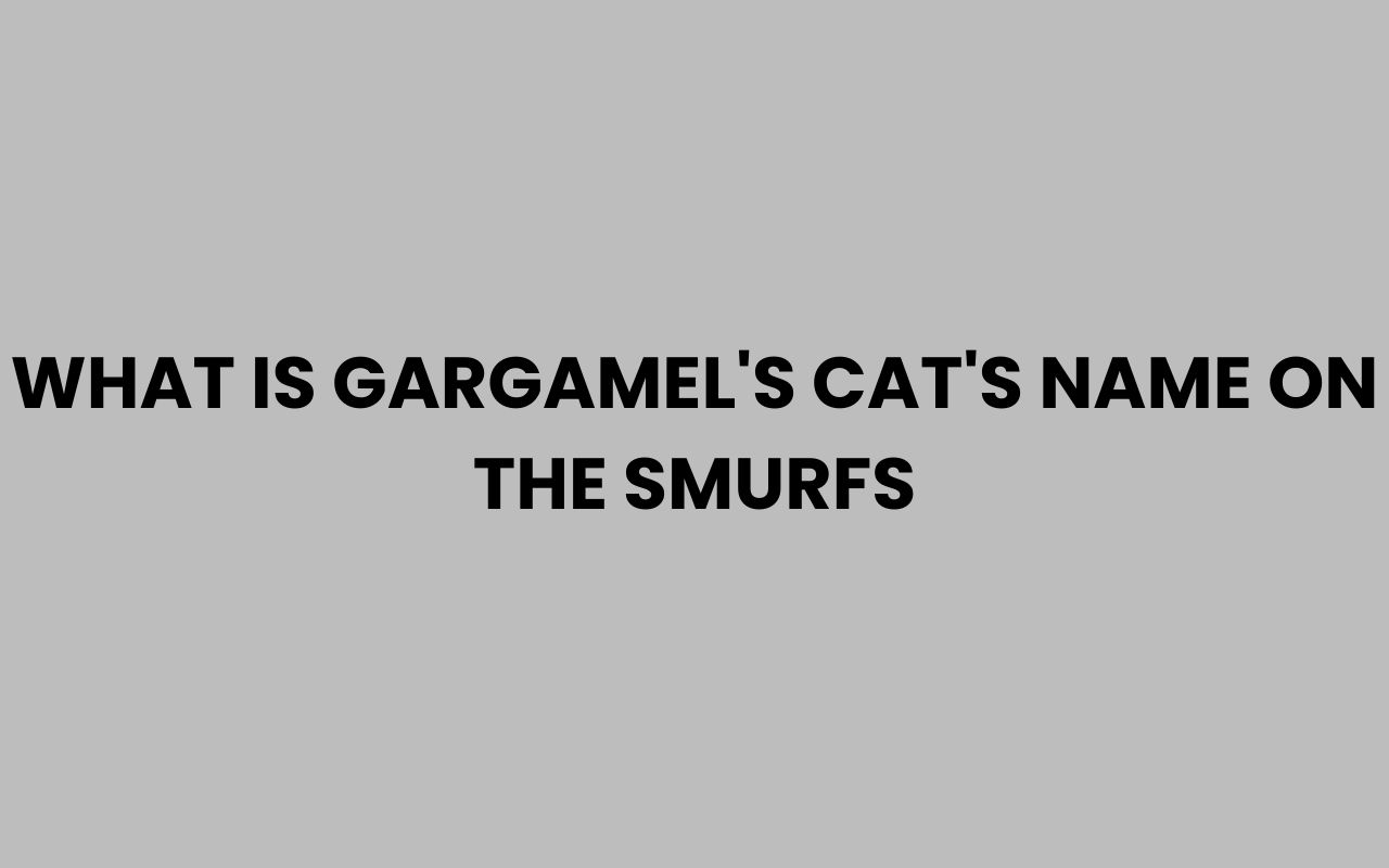 what is gargamels cats name on the smurfs