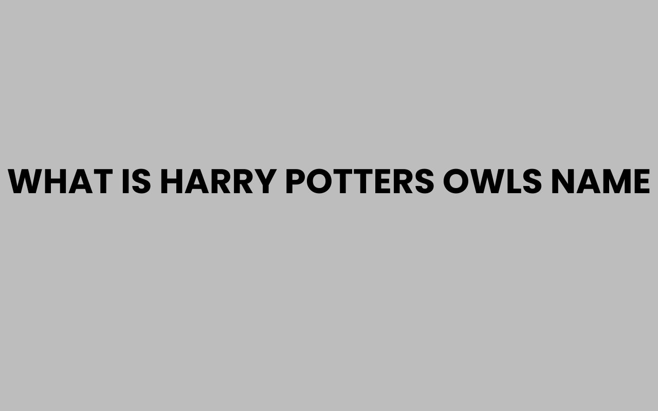 what is harry potters owls name