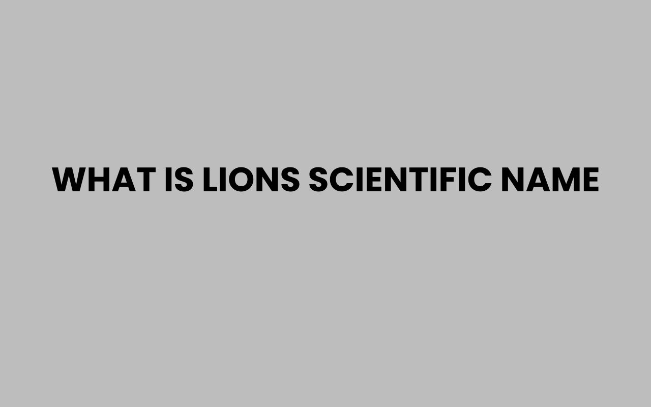 what is lions scientific name