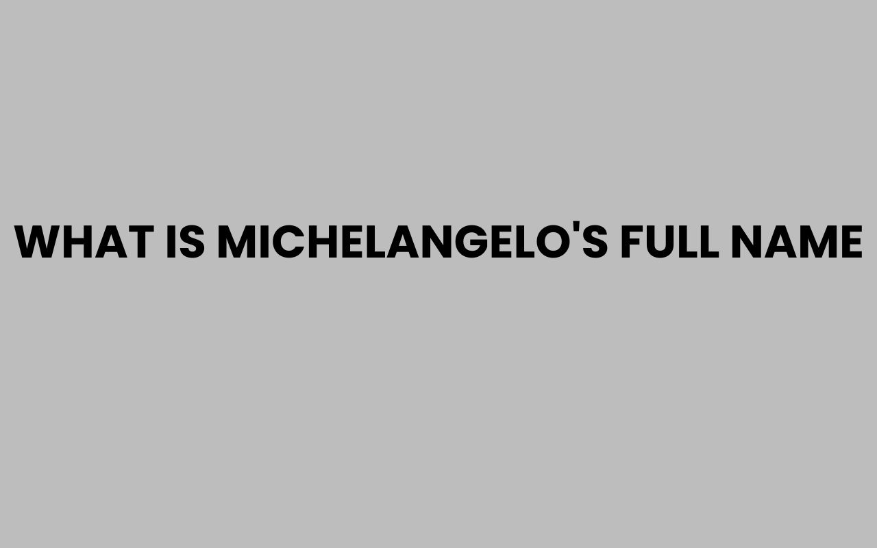 what is michelangelos full name