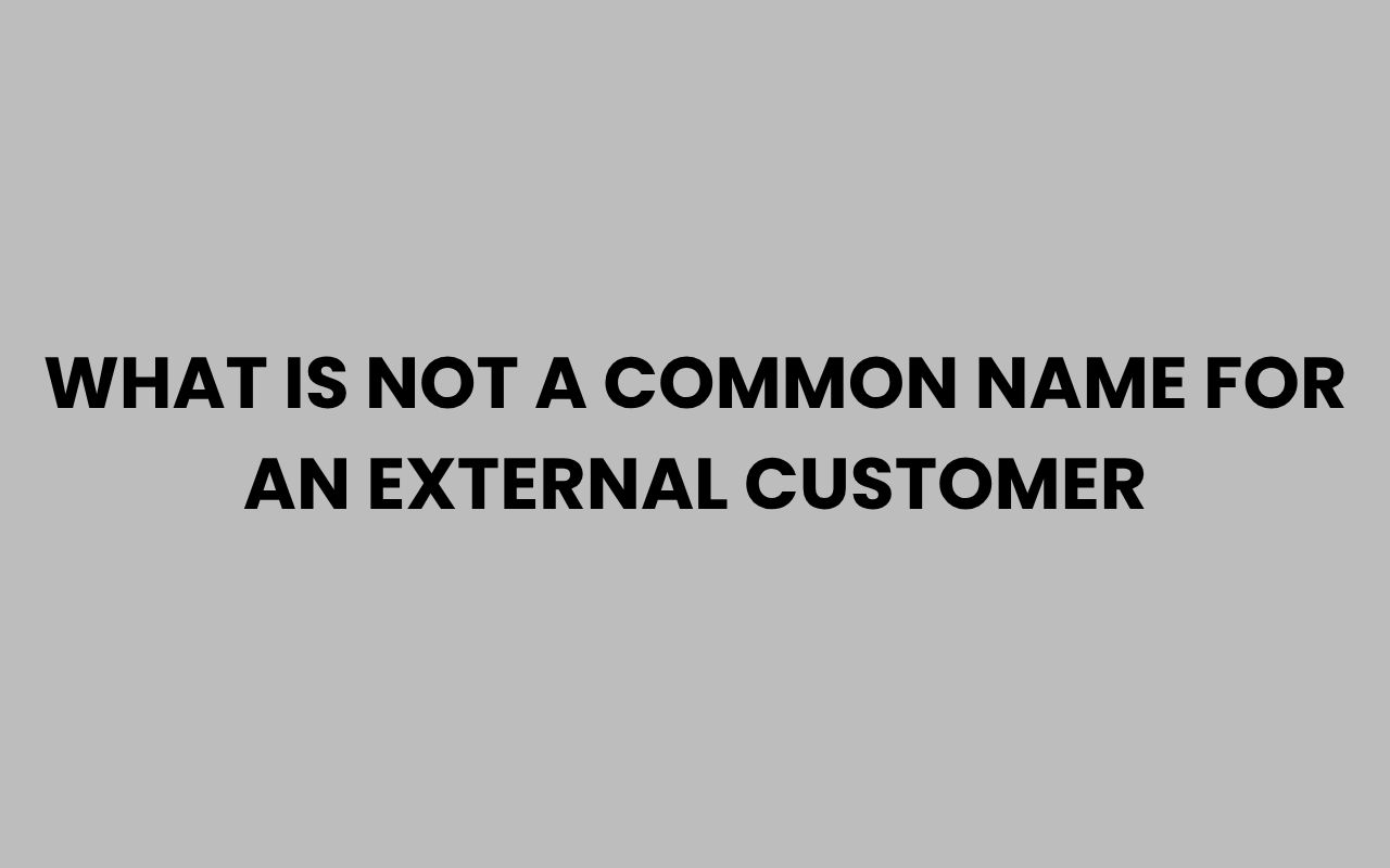 what is not a common name for an external customer