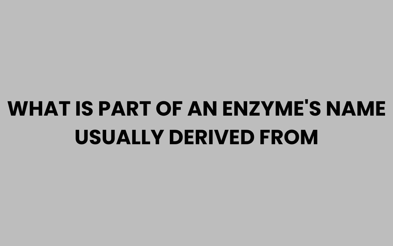 what is part of an enzymes name usually derived from