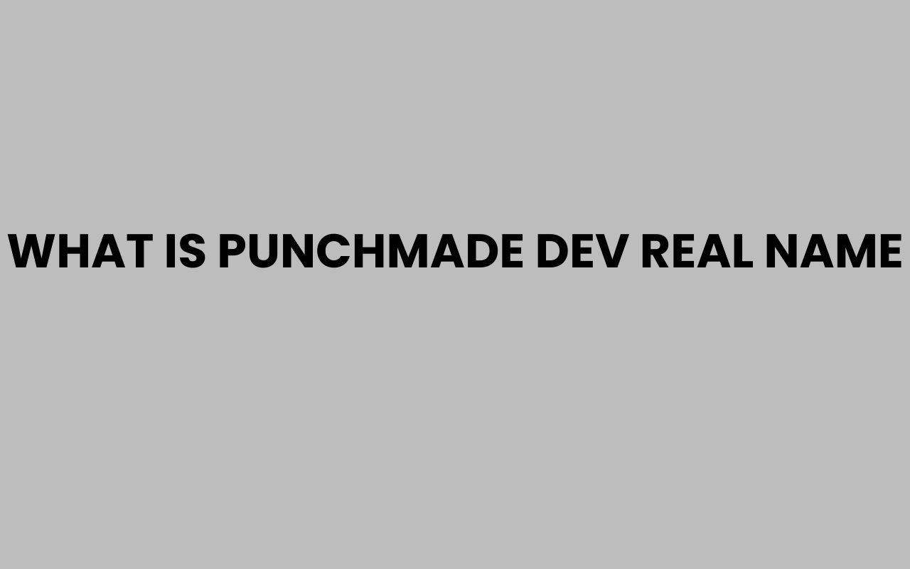 what is punchmade dev real name