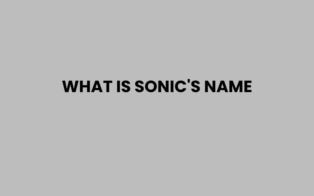 what is sonics name