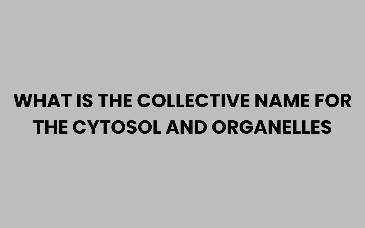 what is the collective name for the cytosol and organelles