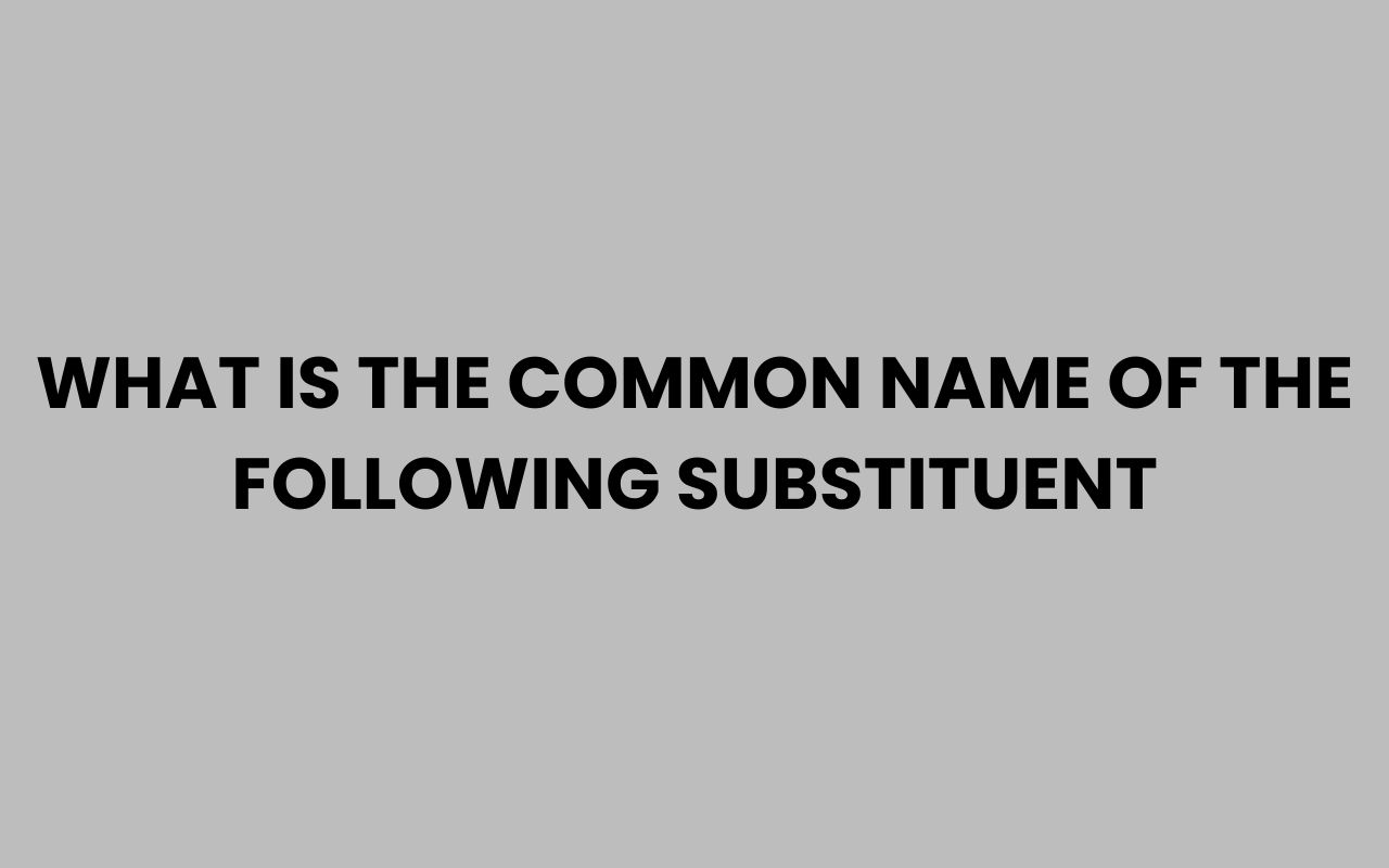 what is the common name of the following substituent