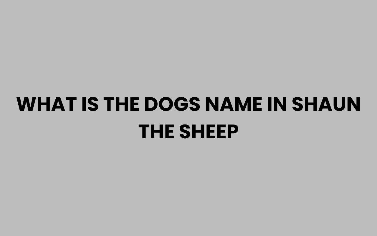 what is the dogs name in shaun the sheep